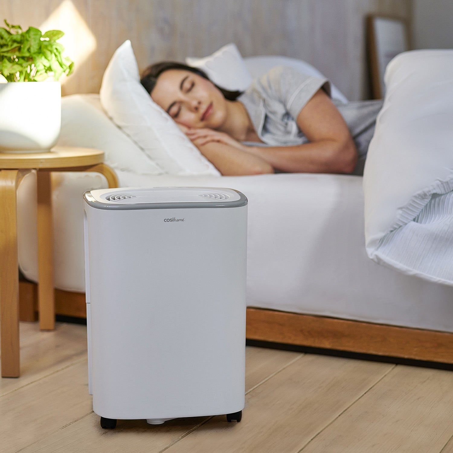 12L Low Energy Dehumidifier with 2.5L Water Tank